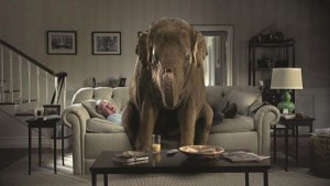 Elephant Sitting On a Couch